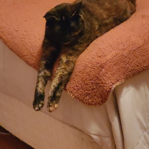 Fundraising Page: Spencer Fasciocco